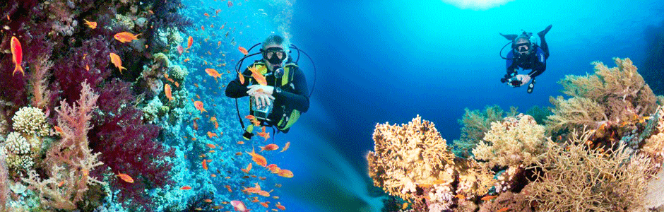 Diving & Snorkeling